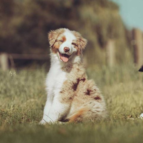 gruppentraining-starter